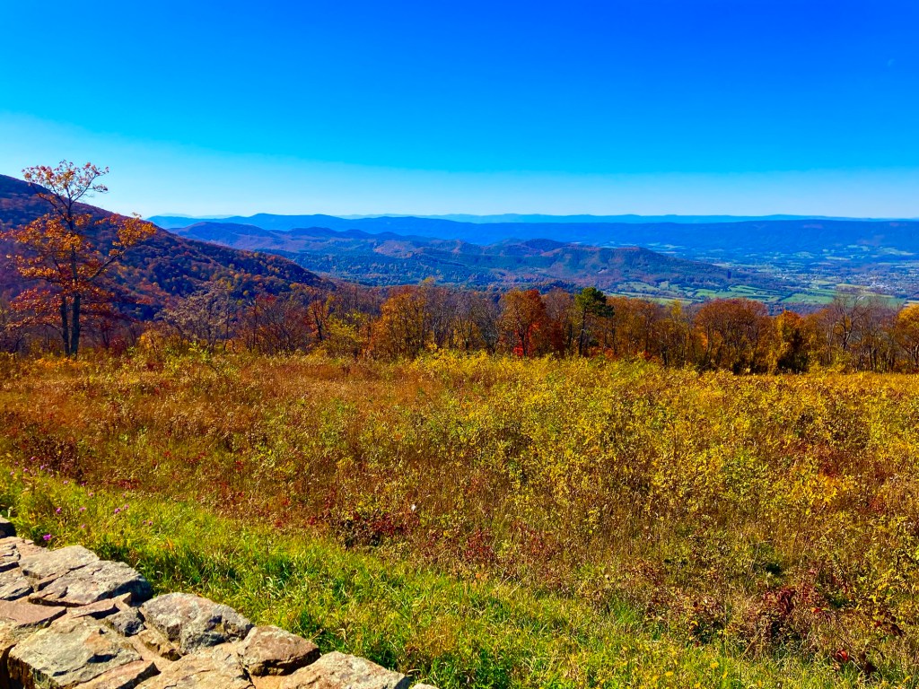 Beyond the Legend of Berry Mountain&nbsp;3